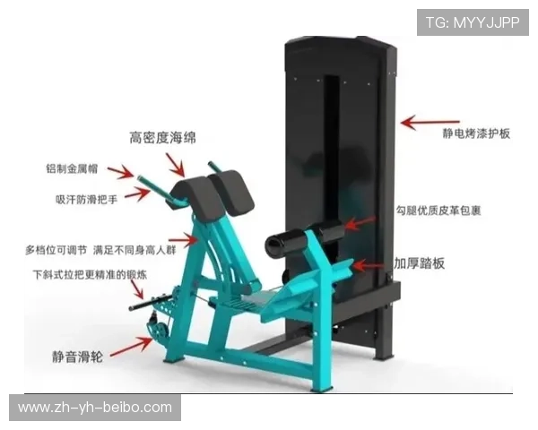 练背的健身器材视频:推荐一些练背部肌肉的最佳器材视频教程