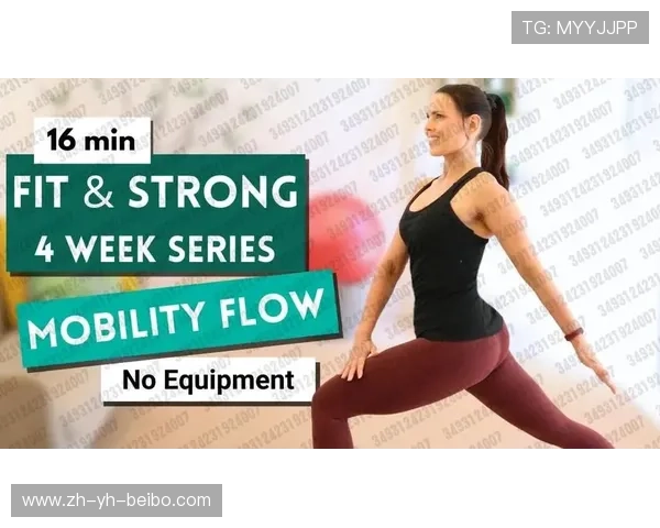 高拉力训练器的多功能性与肌肉塑形